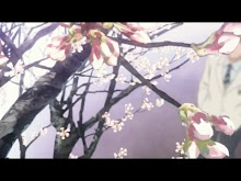 Hatsukoi Limited ตอนที่ 09