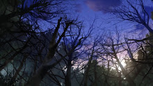 Zetsuen no Tempest ตอนที่ 06
