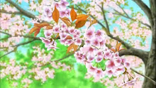 Natsume Yuujinchou Shi ตอนที่ 11