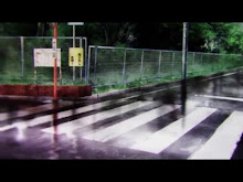 Domestic Na Kanojo  ตอนที่ 11