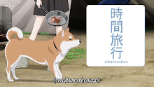 Sekai no Owari ni Shiba Inu to ตอนที่ 24 ซับไทย