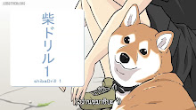 Sekai no Owari ni Shiba Inu to ตอนที่ 26 ซับไทย